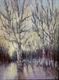 WINTER SUN 9X12 OIL