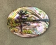 #XXVI 40x30mm acrylic on paua shell